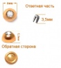 ГД15074 Стразы установочные 8мм (Золото/белый) (10шт)